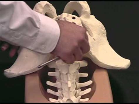 Long-Segment Spinal Fixation Using Pelvic Screws - YouTube