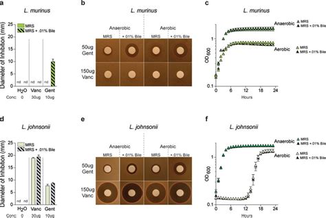 Lactobacilli species have divergent antibiotic resistance partially ...