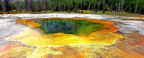 Yellowstone geyser on a sunny afternoon 5218x 2128 : EarthPorn