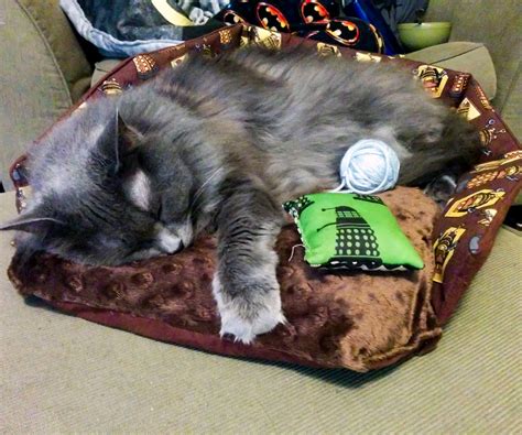 Pillow for Pets : 8 Steps (with Pictures) - Instructables