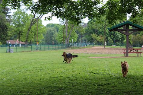 Dog Parks | Kenosha County, WI - Official Website