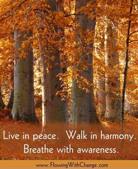 Peace And Harmony Quotes. QuotesGram