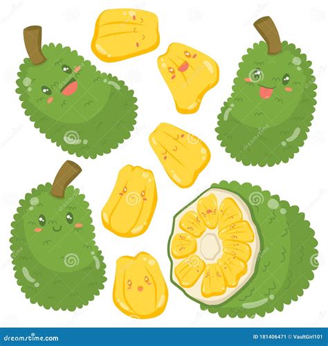 Cute Jackfruits, Tropical Fruits Vector Set Stock Vector - Illustration ...