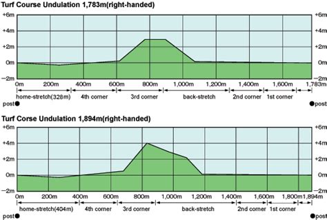 Kyoto｜Course Details｜Horse Racing in Japan