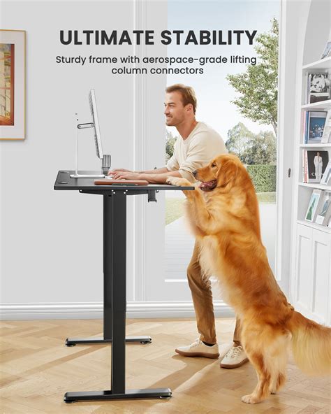 55" Height-Adjustable Electric Standing Desk – ErGear