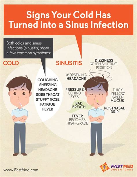 Signs Your Cold Has Turned into a Sinus Infection [INFOGRAPHIC] | Sinus ...