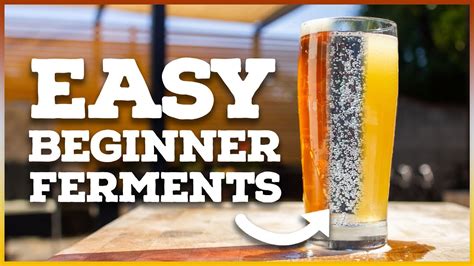 The 3 EASIEST Home Brew Recipes for Beginners - Brew Insight