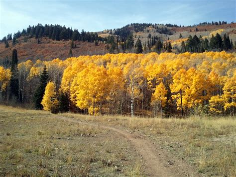 KanyonKris: Park City Mountain Tour