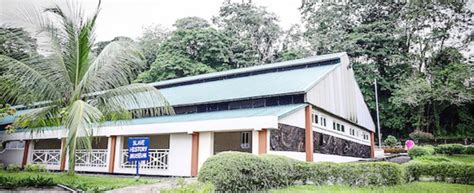 Why Calabar History Museum no longer attracts traffic - Daily Trust