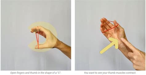 Top 5 Hand Strengthening Exercises For Stronger Hands - Virtual Hand Care