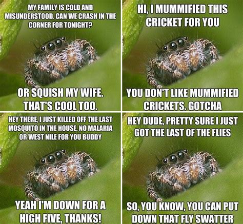 spider meme - Google Search | Spiders funny, Bones funny, Funny