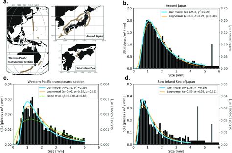 Comparison of theoretical size spectrum with the observed size ...