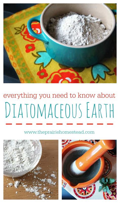 diatomaceous earth uses • The Prairie Homestead