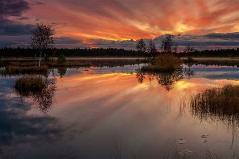 Lake Laanemaa at Orkjärve Nature Reserve, Estonia - OGQ Backgrounds HD