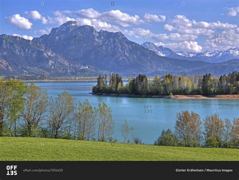 Spring landscape at forggensee against sailing (2047m) of the ammergau alps, halblech, romantic ...