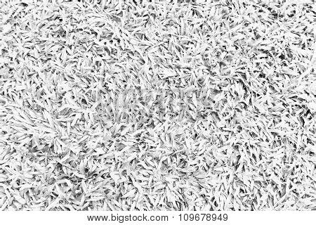 White Grass Texture Image & Photo | Bigstock