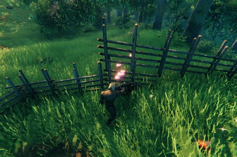 How to tame and breed boars in Valheim - Polygon