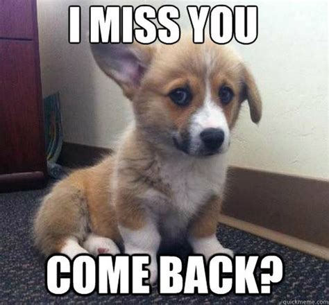 101 Sincere "I Miss You" Memes to Share with People You Love and Miss