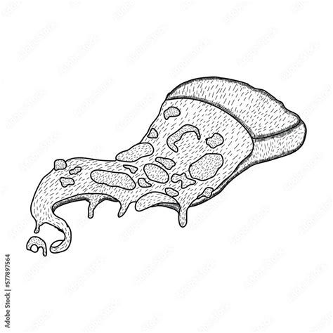 Hand drawing mushroom and vintage mushroom illustration black and white Pizza vintage coloring ...