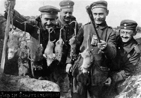 Incredible Photographs Capture Trench Rats Killed by Terriers During World War I ~ Vintage Everyday