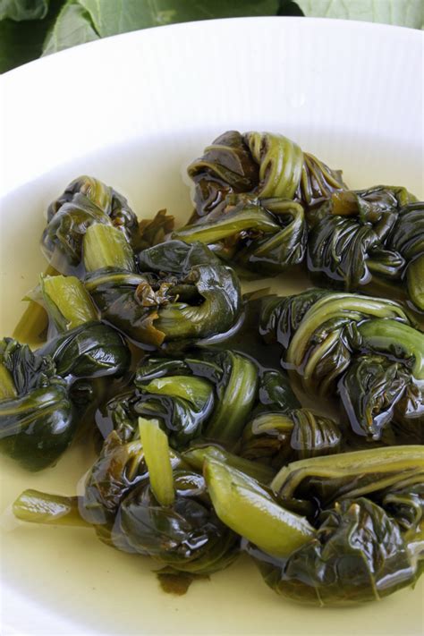 Pickled Mustard Greens (Burong Mustasa) |Foxy Folksy