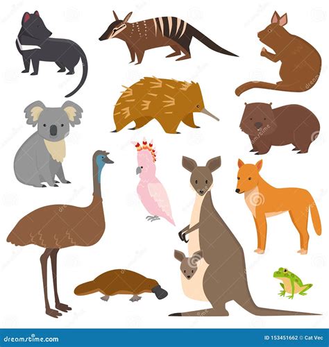 Australian Wild Animals Cartoon Collection Australia Popular Animals Like Platypus, Koala ...