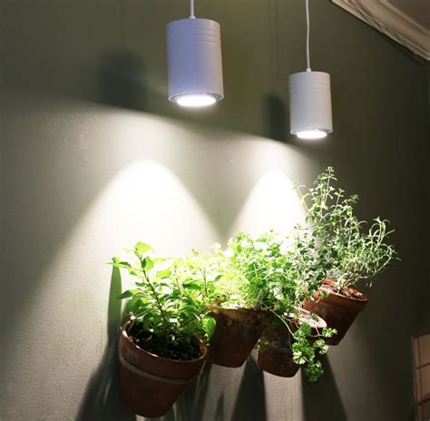 Use Full Spectrum LED Grow Lights for White Light | Halleck Horticultural | Grow lights for ...