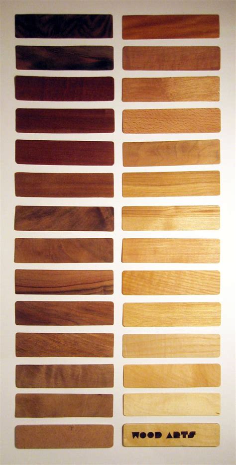 Wood color chart by Laszlo Sandor, via Behance | Wooden shades, Furniture design wooden, Wood colors