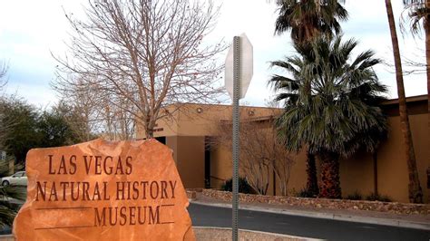 Las Vegas Natural History Museum - Trip to Museum