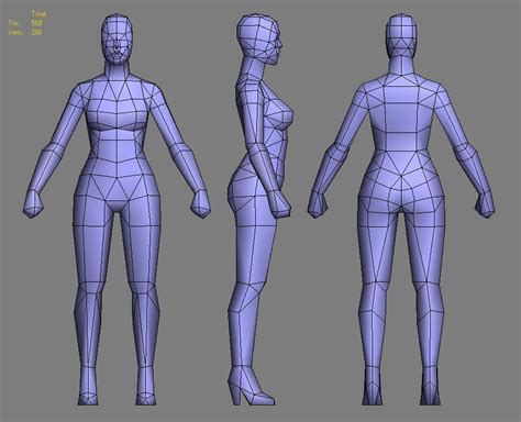 Blueprints For 3d Modeling Human | My XXX Hot Girl