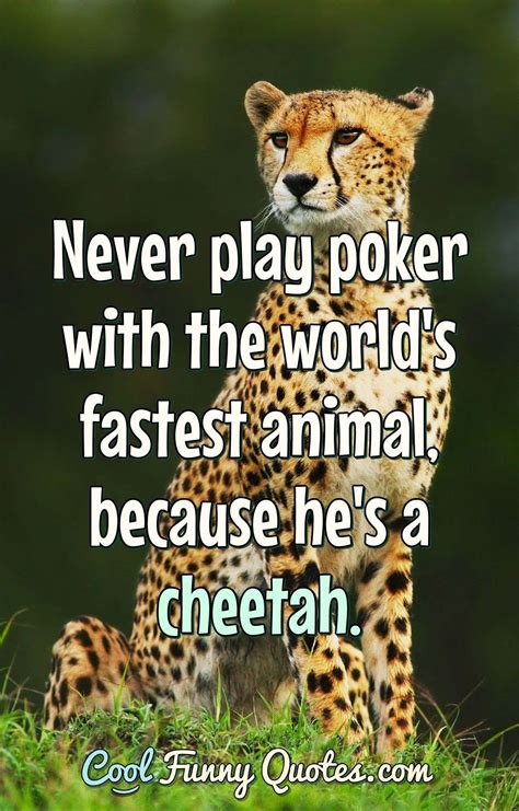 Funny Animal Quotes - Cool Funny Quotes