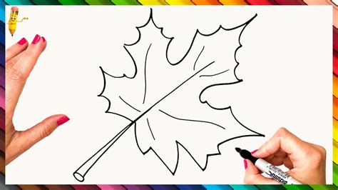 Cómo Dibujar Una Hoja De Otoño Paso A Paso Dibujo De Una Hoja Fácil