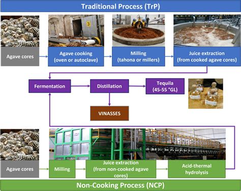 The production process of Tequila. Blue: traditional process. Green:... | Download Scientific ...