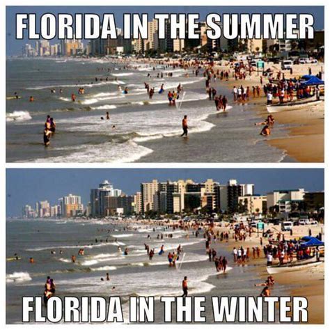 The 10 Best Florida Winter Memes - I Love South Florida