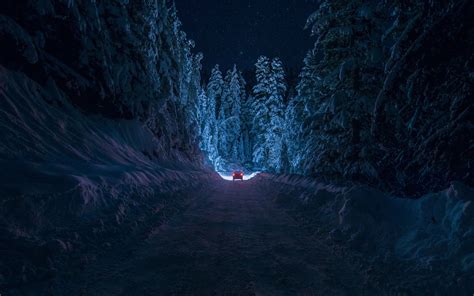 Fond d'écran : forêt, nuit, la nature, neige, hiver, clair de lune, la grotte, chemin, obscurité ...