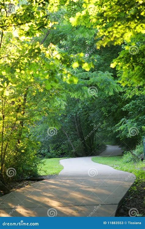 Winding Hiking Trail in Woods Stock Image - Image of vertical, concrete ...