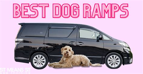 The Best Dog Ramps for Your Vehicle | SMS Milwaukee