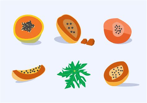 Papaya Fruit Vector 105706 Vector Art at Vecteezy