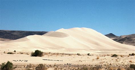 Nevada Destination Guide: Sand Mountain, Nevada