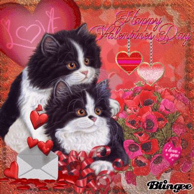 Cute Cat Valentines Gif valentines day gif valentines day quotes ...