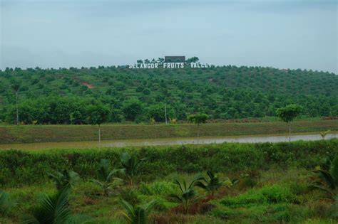 Attractions Area in Selangor: Selangor Fruit Valley (SFV)