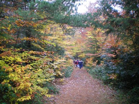 Top 10 Hiking Trails in the Pocono Mountains: Your Guide to Outdoor Adventure - VacationInPA.com