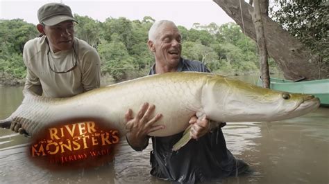 Incredible REEL TIME Arapaima Catch | ARAPAIMA | River Monsters - YouTube