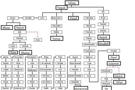 Family tree of prophets | Studio Arabiya in Egypt