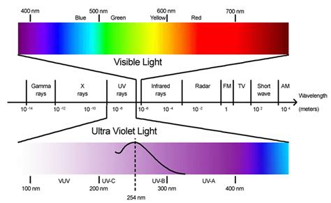 Ultraviolet Radiation