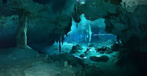 Tulum: Casa Cenote Snorkeling Experience | GetYourGuide