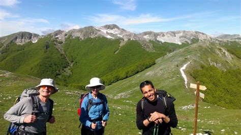 Abruzzo National Park with #wildlifeadventures | Wildlife adventure ...