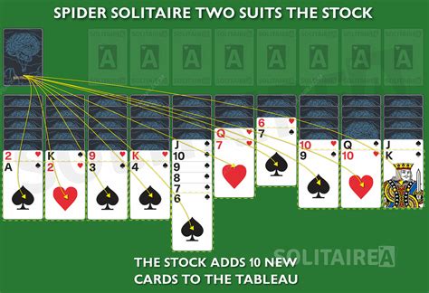 Play Spider Solitaire 2 Suits and Learn Gameplay Strategy (2023)