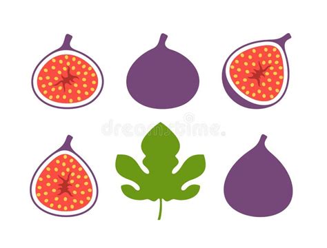 Fig Logo. Isolated Fig on White Background Stock Vector - Illustration ...