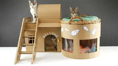 Juegos para gatos caseros que necesitan más y más entretenimiento - | Juegos para gatos caseros ...